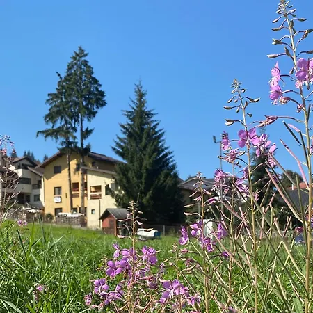 Pensiunea 